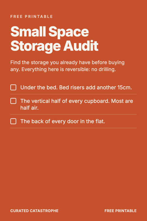 Preview of the Small Space Storage Audit printable